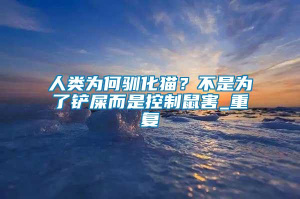 人類(lèi)為何馴化貓？不是為了鏟屎而是控制鼠害_重復(fù)