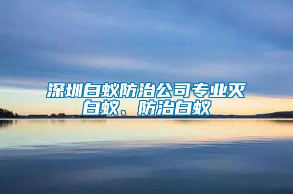 深圳白蟻防治公司專業(yè)滅白蟻、防治白蟻