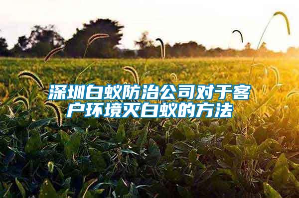 深圳白蟻防治公司對(duì)于客戶(hù)環(huán)境滅白蟻的方法