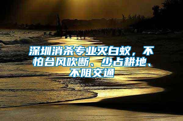 深圳消殺專業滅白蟻，不怕臺風吹斷、少占耕地、不阻交通