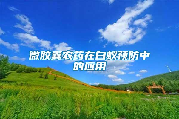 微膠囊農(nóng)藥在白蟻預防中的應用