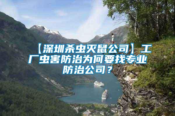 【深圳殺蟲滅鼠公司】工廠蟲害防治為何要找專業防治公司？