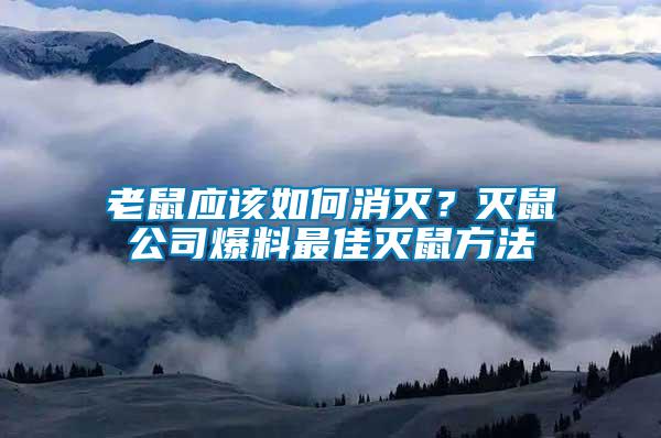 老鼠應該如何消滅？滅鼠公司爆料最佳滅鼠方法