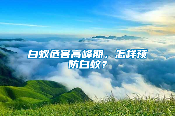 白蟻危害高峰期，怎樣預(yù)防白蟻？