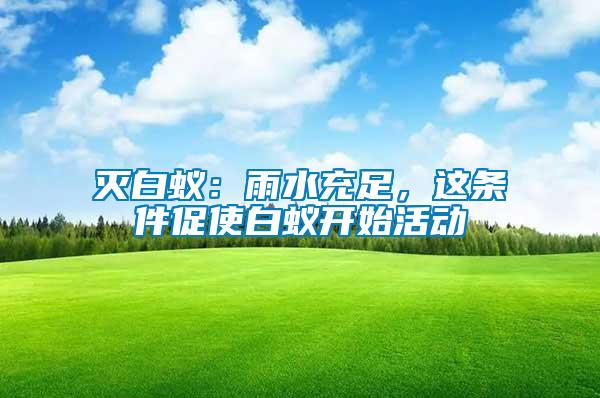 滅白蟻：雨水充足，這條件促使白蟻開始活動