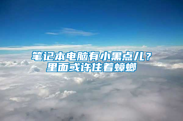 筆記本電腦有小黑點兒？里面或許住著蟑螂