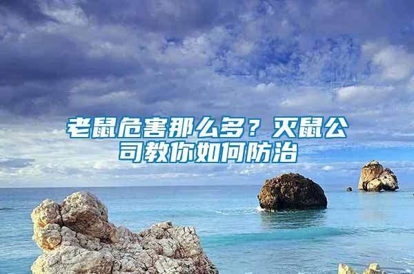 老鼠危害那么多？滅鼠公司教你如何防治