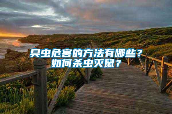 臭蟲危害的方法有哪些？如何殺蟲滅鼠？