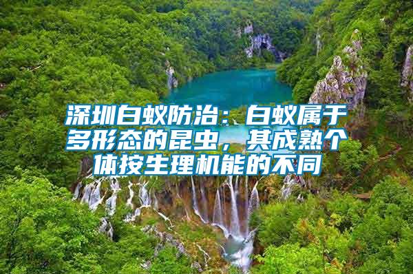 深圳白蟻防治：白蟻屬于多形態的昆蟲，其成熟個體按生理機能的不同