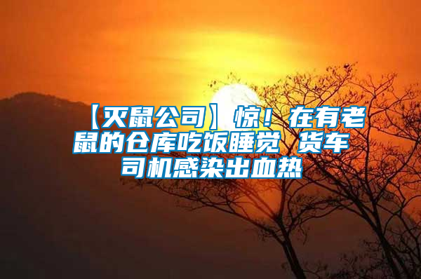 【滅鼠公司】驚！在有老鼠的倉庫吃飯睡覺 貨車司機感染出血熱