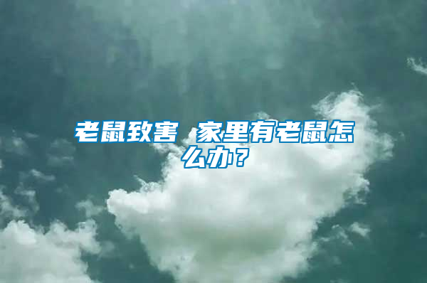 老鼠致害 家里有老鼠怎么辦？