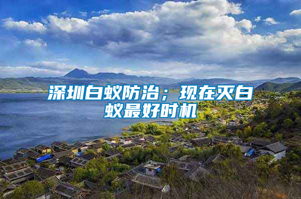深圳白蟻防治；現在滅白蟻最好時機