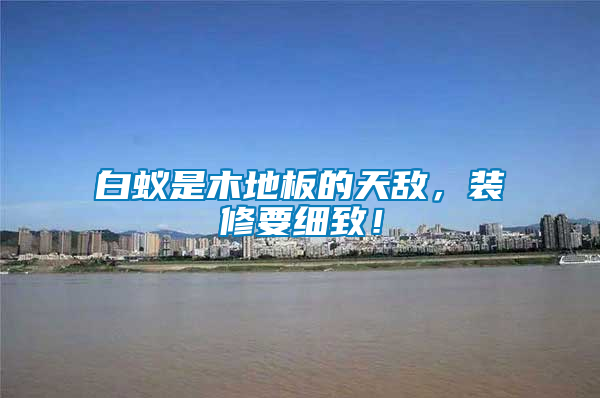 白蟻是木地板的天敵，裝修要細致！