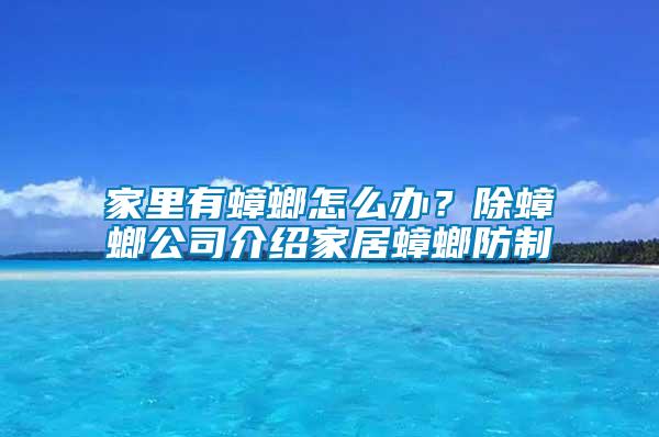家里有蟑螂怎么辦？除蟑螂公司介紹家居蟑螂防制