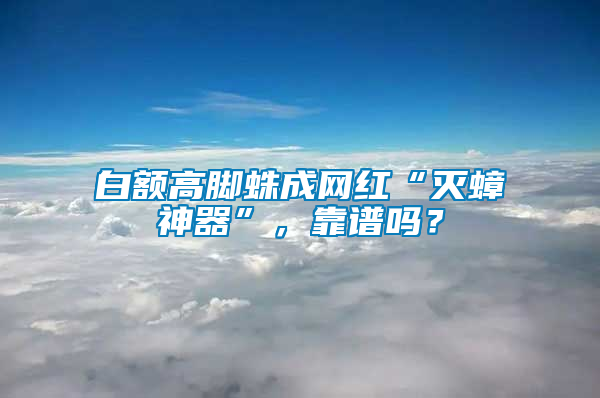 白額高腳蛛成網(wǎng)紅“滅蟑神器”，靠譜嗎？