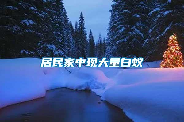 居民家中現大量白蟻