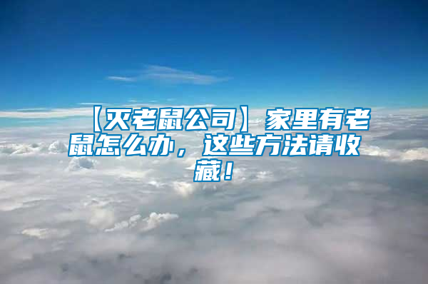 【滅老鼠公司】家里有老鼠怎么辦，這些方法請收藏！