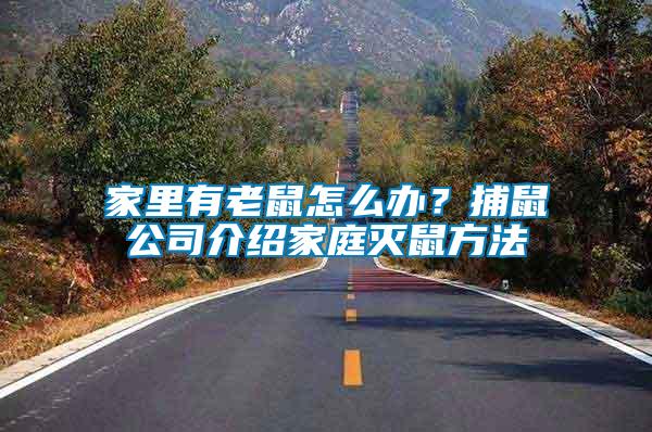 家里有老鼠怎么辦？捕鼠公司介紹家庭滅鼠方法