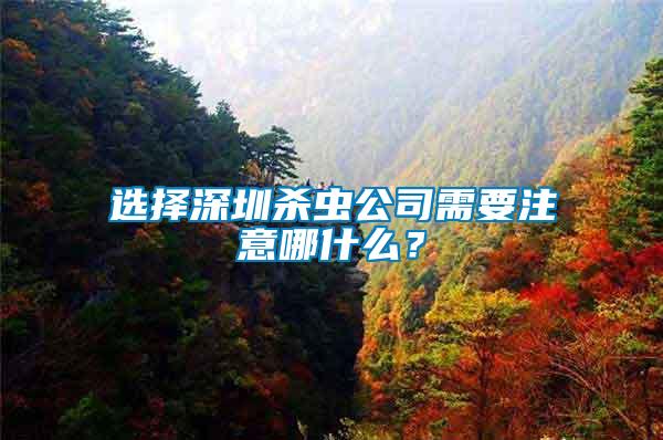 選擇深圳殺蟲公司需要注意哪什么？