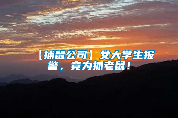 【捕鼠公司】女大學生報警，竟為抓老鼠！