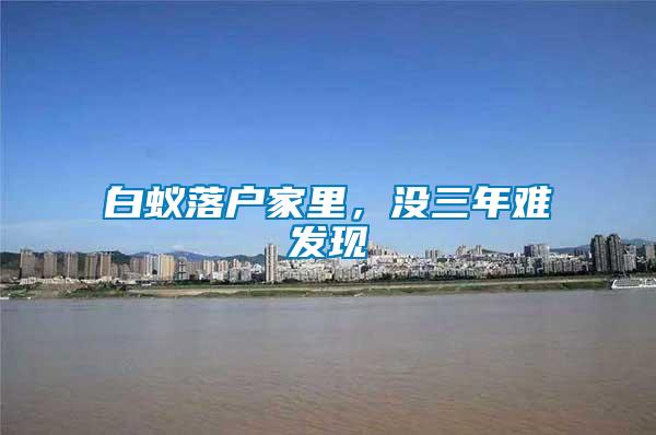 白蟻落戶家里，沒三年難發現