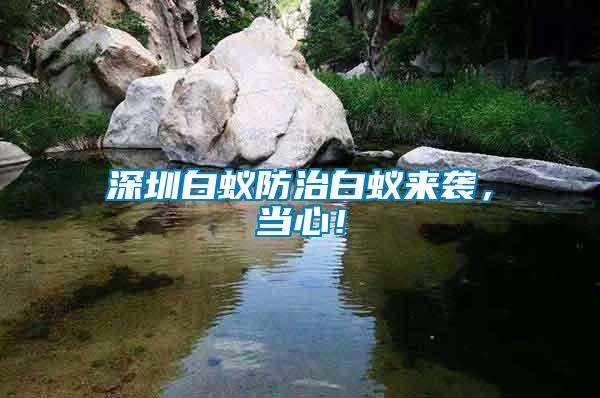 深圳白蟻防治白蟻來襲，當心！
