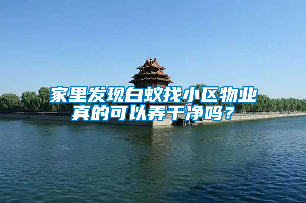 家里發現白蟻找小區物業真的可以弄干凈嗎？
