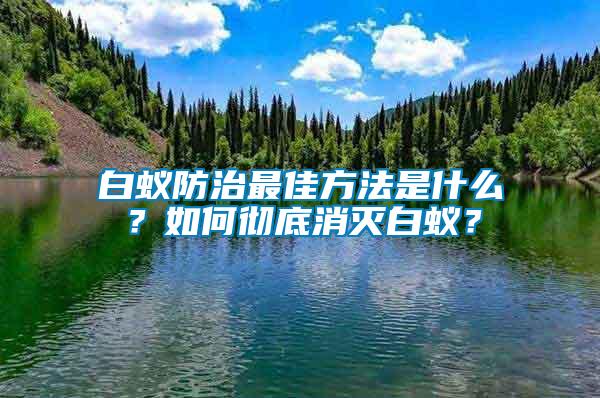 白蟻防治最佳方法是什么？如何徹底消滅白蟻？