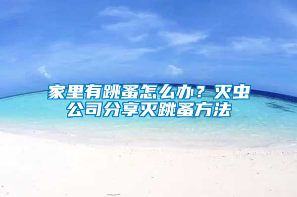 家里有跳蚤怎么辦？滅蟲公司分享滅跳蚤方法