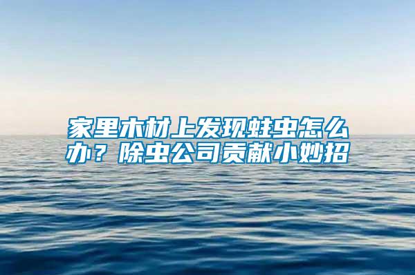 家里木材上發(fā)現(xiàn)蛀蟲怎么辦？除蟲公司貢獻(xiàn)小妙招
