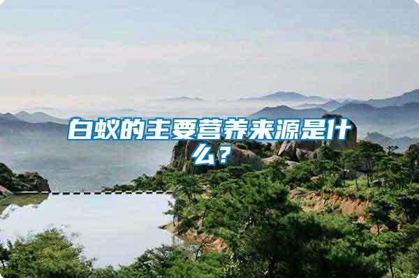 白蟻的主要營養(yǎng)來源是什么？