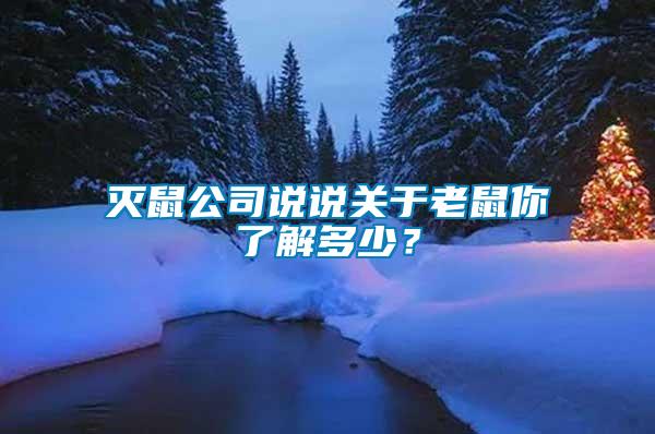 滅鼠公司說(shuō)說(shuō)關(guān)于老鼠你了解多少？