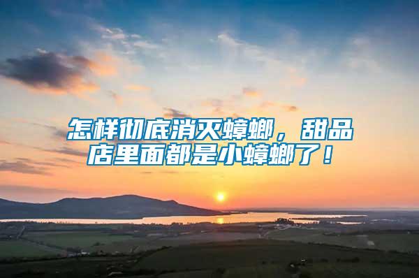 怎樣徹底消滅蟑螂，甜品店里面都是小蟑螂了！