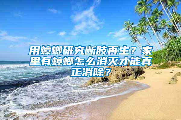 用蟑螂研究斷肢再生？家里有蟑螂怎么消滅才能真正消除？