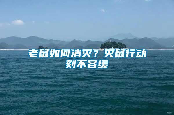 老鼠如何消滅？滅鼠行動刻不容緩