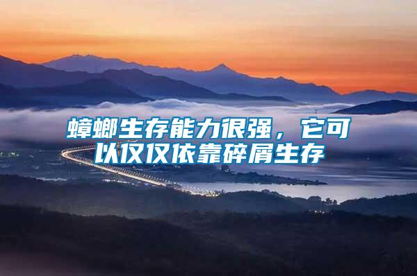 蟑螂生存能力很強(qiáng)，它可以僅僅依靠碎屑生存