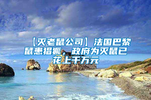 【滅老鼠公司】法國(guó)巴黎鼠患猖獗，政府為滅鼠已花上千萬(wàn)元