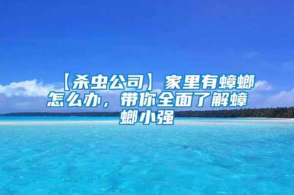 【殺蟲公司】家里有蟑螂怎么辦，帶你全面了解蟑螂小強