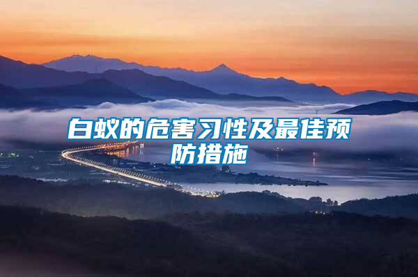白蟻的危害習性及最佳預防措施