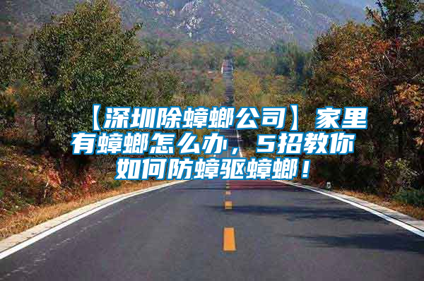 【深圳除蟑螂公司】家里有蟑螂怎么辦，5招教你如何防蟑驅蟑螂！