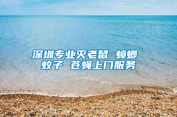 深圳專業滅老鼠 蟑螂 蚊子 蒼蠅上門服務