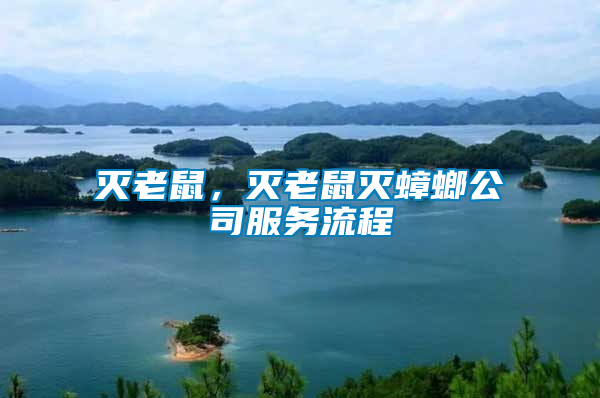 滅老鼠，滅老鼠滅蟑螂公司服務流程