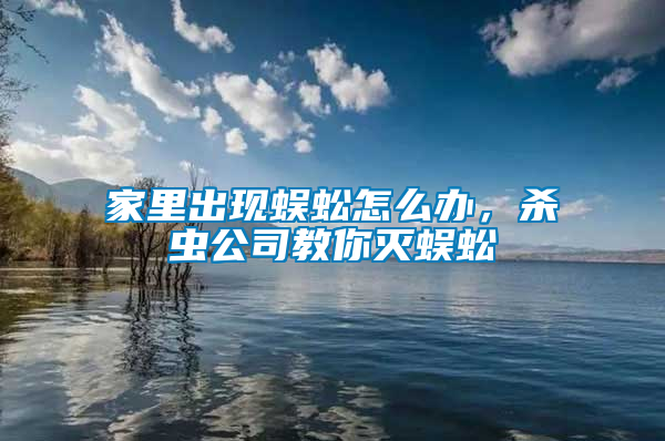 家里出現蜈蚣怎么辦，殺蟲公司教你滅蜈蚣