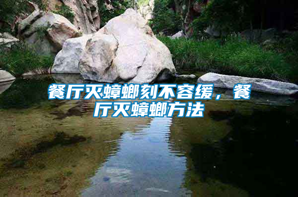 餐廳滅蟑螂刻不容緩，餐廳滅蟑螂方法