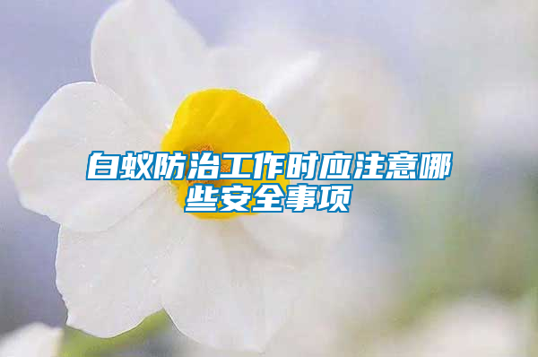 白蟻防治工作時應(yīng)注意哪些安全事項
