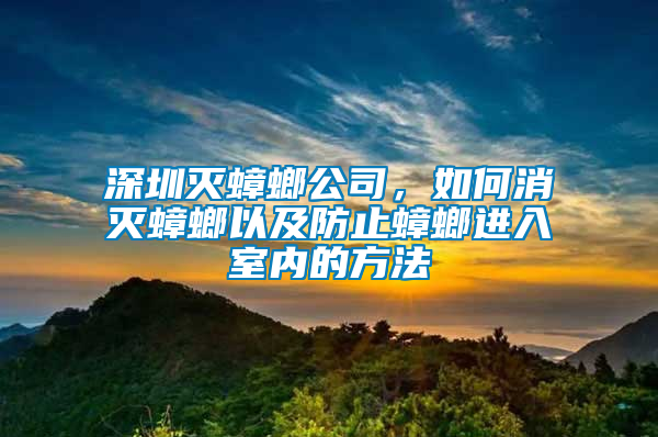 深圳滅蟑螂公司，如何消滅蟑螂以及防止蟑螂進入室內的方法