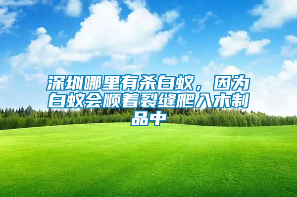 深圳哪里有殺白蟻，因為白蟻會順著裂縫爬入木制品中