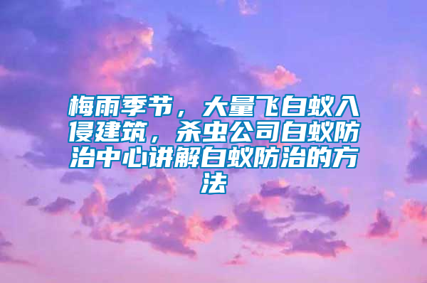梅雨季節，大量飛白蟻入侵建筑，殺蟲公司白蟻防治中心講解白蟻防治的方法