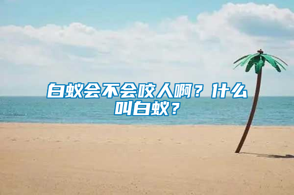 白蟻會不會咬人??？什么叫白蟻？