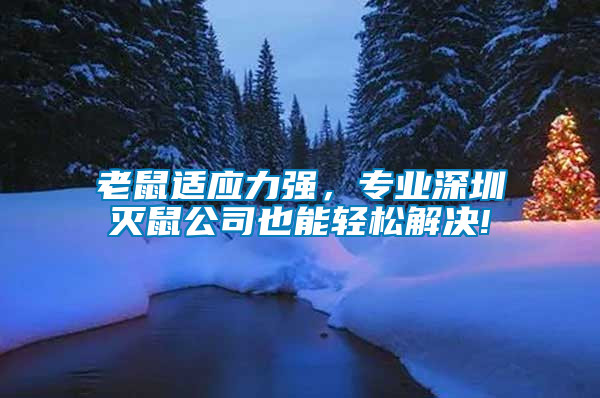 老鼠適應(yīng)力強，專業(yè)深圳滅鼠公司也能輕松解決!